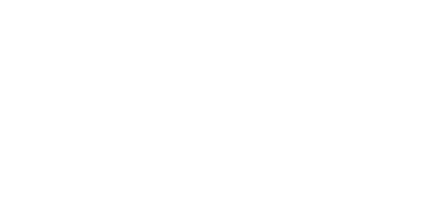 PRO PRM
